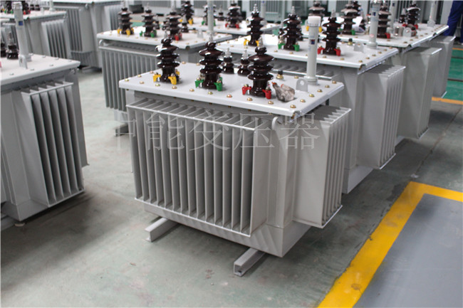 河南S22-100KVA/10KV/0.4KV变压器
